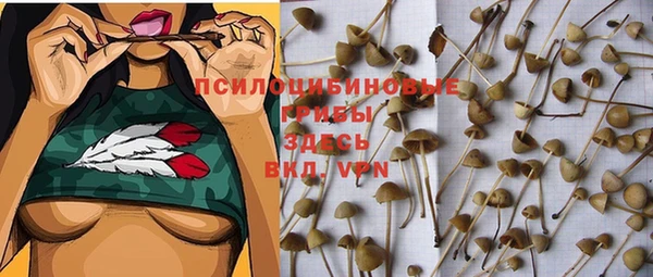 МДПВ Абаза