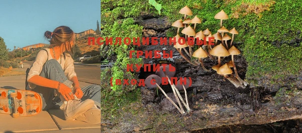 стафф Кулебаки